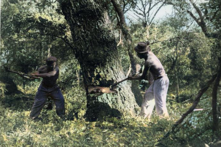 hacheros The Forestal.jpg