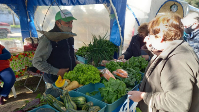 Impulsan un proyecto de ley para crear el mercado concentrador frutihorticola y de productos regionales