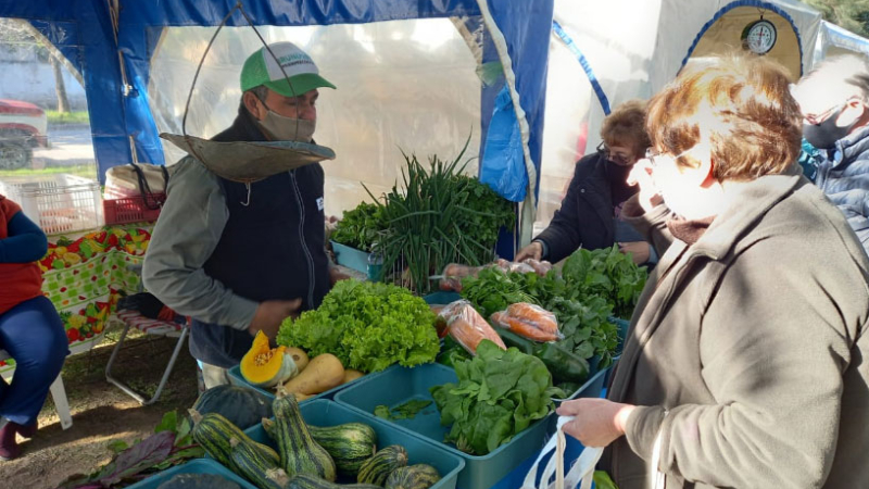 Impulsan un proyecto de ley para crear el mercado concentrador frutihorticola y de productos regionales