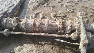 Bajante del Paraná: hallan parte de antigua embarcación en Vuelta de Obligado
