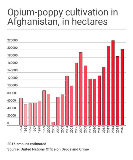 86-Afg-foto9.jpg
