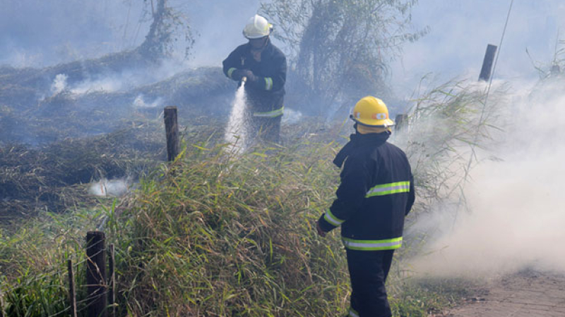 El fuego continúa siendo una amenaza también en la zona urbana