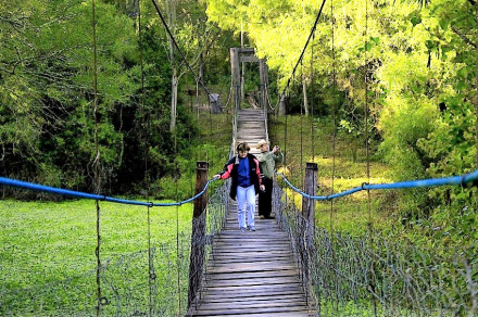 parque nacional chaco2.jpg
