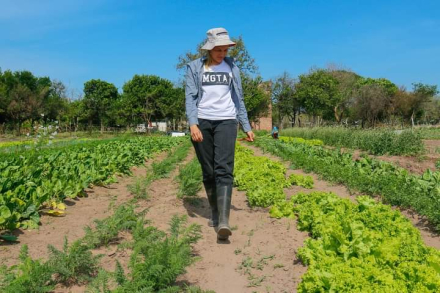 agricultura3.jpg