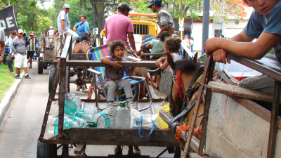 Proteccionistas piden que se cumpla la ordenanza que elimina la tracción a sangre