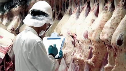 expo-carne.jpg