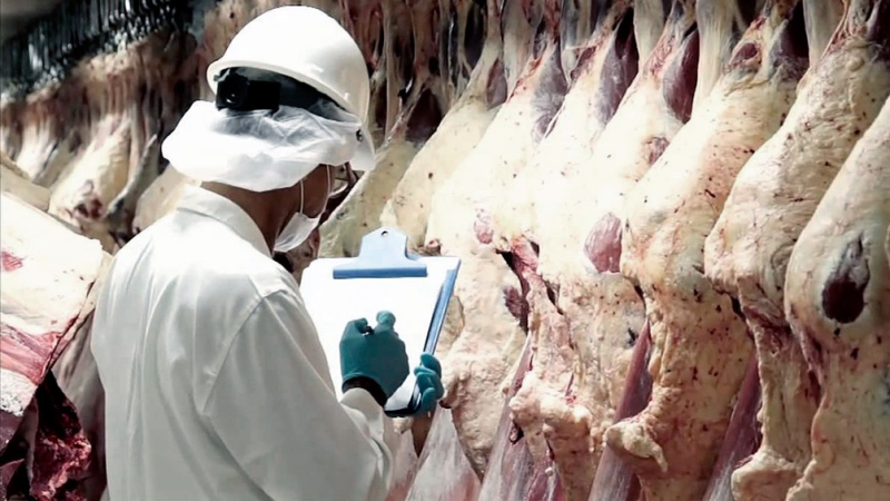 En septiembre las exportaciones bovinas crecieron 16%