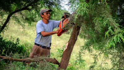 Bosques: con éxito se llevó adelante audiencia judicial