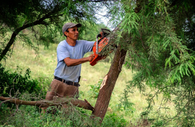 Bosques: con éxito se llevó adelante audiencia judicial