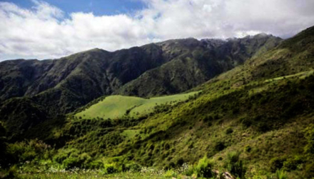 verde-camino2.jpg