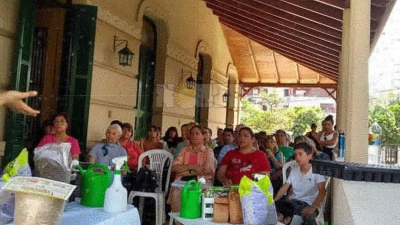 Cómo empezar una huerta sin frustrarse en el intento