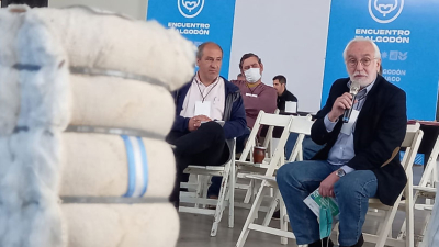 "El SIO algodón está listo para que comience a trabajar y transparente el mercado"