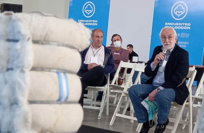 "El SIO algodón está listo para que comience a trabajar y transparente el mercado"