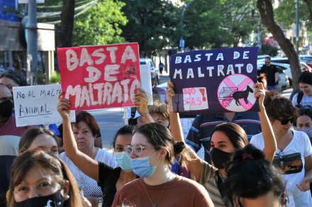 marcha7.jpg