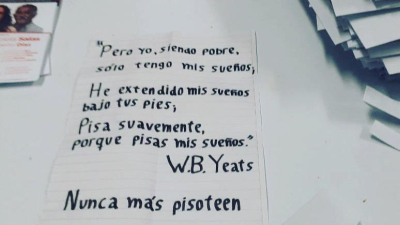 El "voto-poema" que se volvió viral en Resistencia