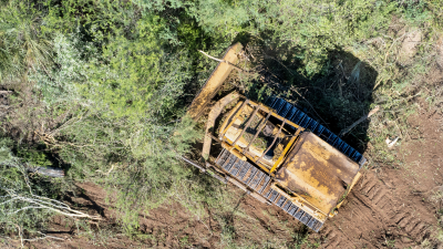 Comienza una consulta popular para decidir si los desmontes deben ser considerados delitos penales