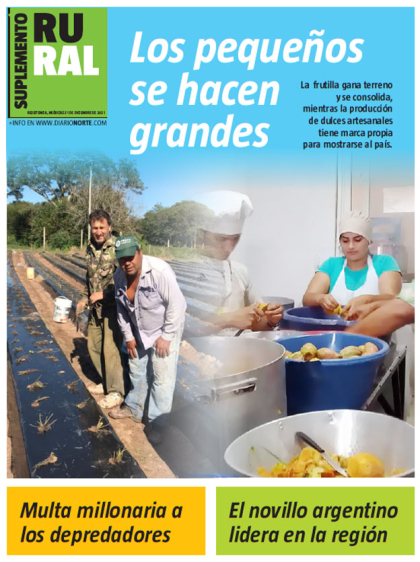 Los pequeños se hacen grandes