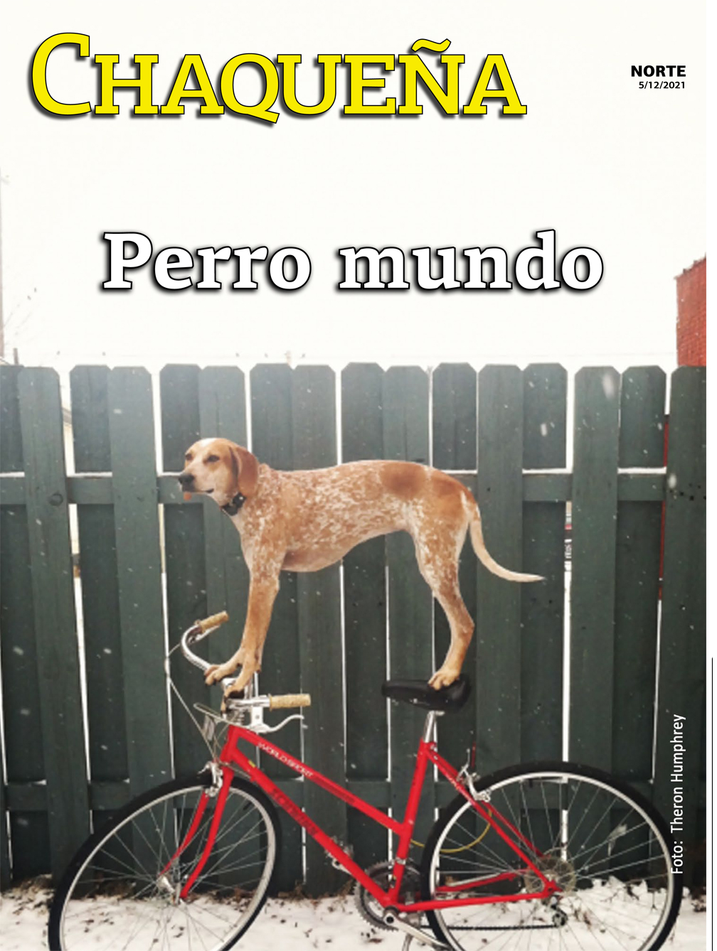 Perro mundo
