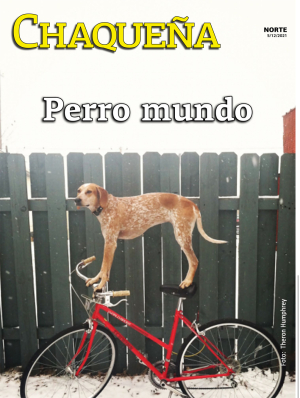 Perro mundo