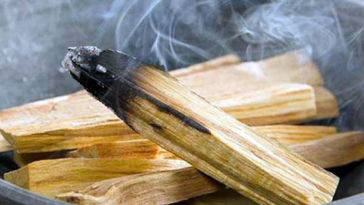 El Chaco apuesta al manejo sostenible del palo santo