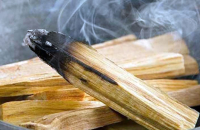 El Chaco apuesta al manejo sostenible del palo santo