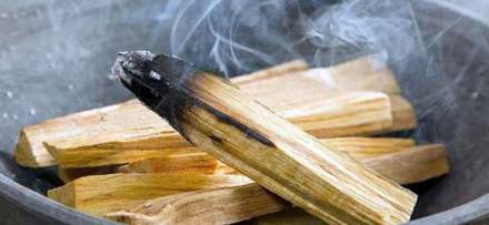 palo-santo.jpg