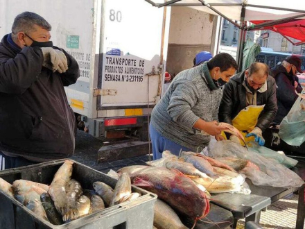pescadazo.jpg