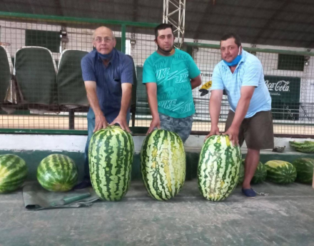 sandia2.jpg