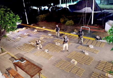 narco2.jpg
