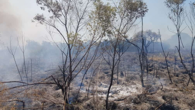 Voraz incendio detrás de una cadena comercial