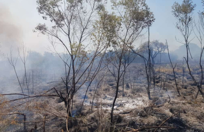 Voraz incendio detrás de una cadena comercial