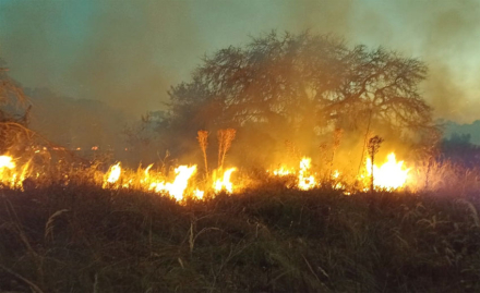 incendio.jpg