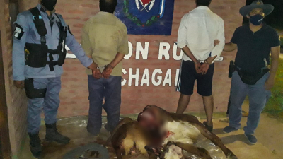 Las bandas de cuatreros no se toman descanso