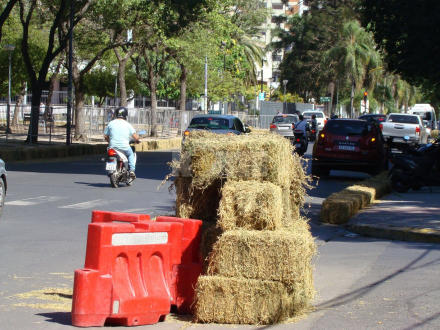karting callejero 1.JPG