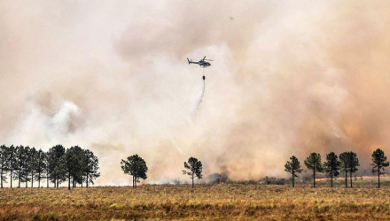 incendios.jpg