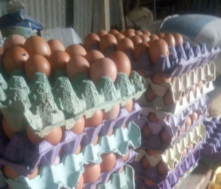 huevos2.jpg