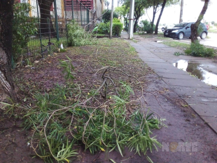 tormenta4.jpg