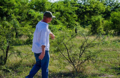 Apuntan a lograr un equilibrio hacia una producción sustentable