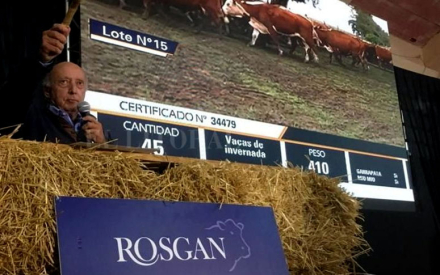 Remate-Rosgan.jpg