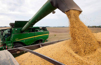 Aduana informó que desmanteló 60 agroexportadores "truchos"