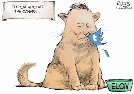 elon-musk-twitter.jpg