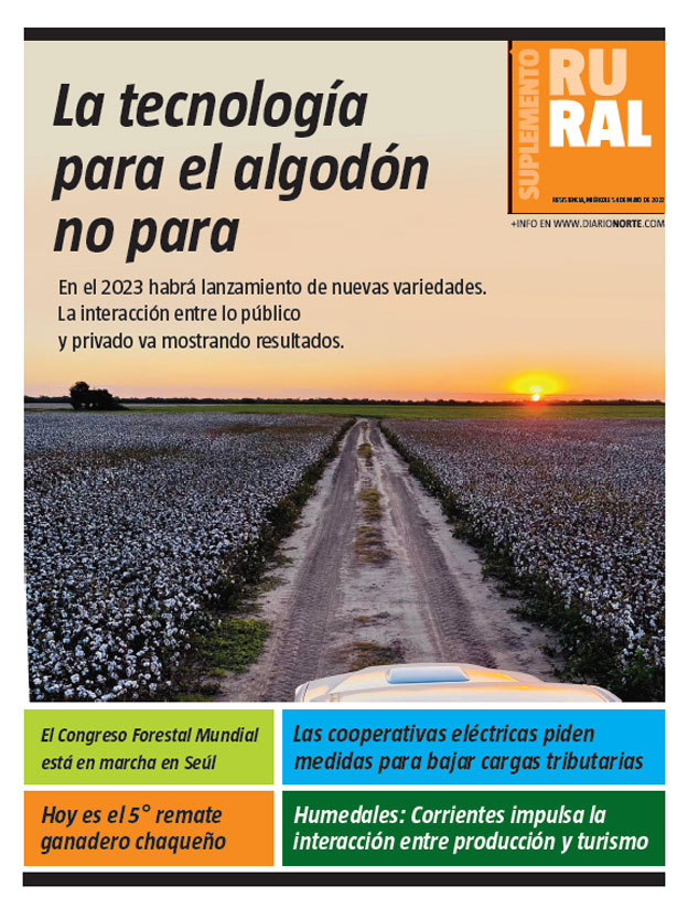 La tecnología para el algodón no para