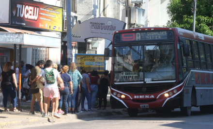 colectivos.jpg