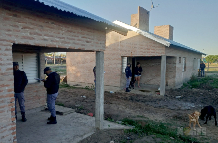 DESALOJO3.jpg