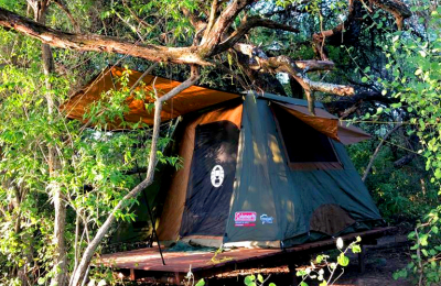 El camping en el corazón de El Impenetrable que impulsa su conservación