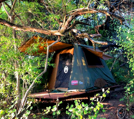 camping.jpg