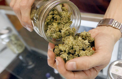 El Chaco se suma a la producción de cannabis medicinal