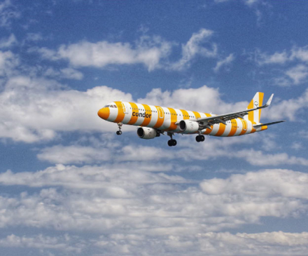 condor6.jpg
