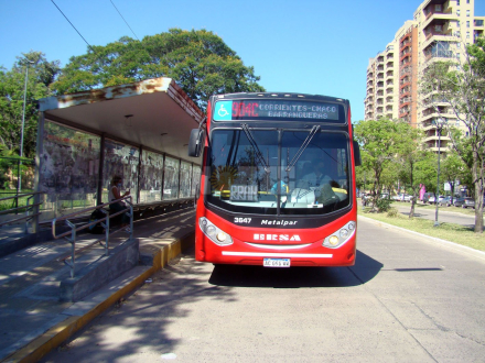 cole chaco corrientes.JPG