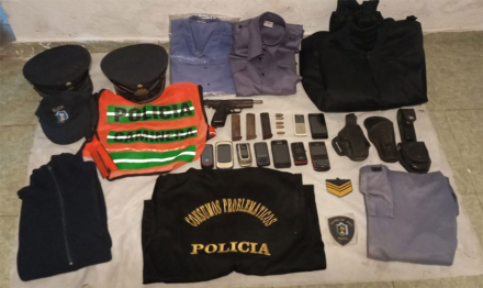 polinarco4.jpg